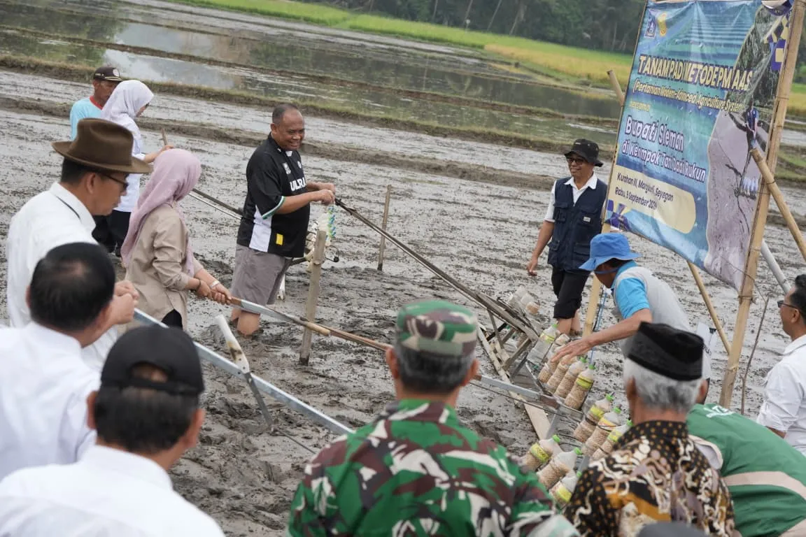 Dukung Ketahanan Pangan Nasional, Bupati Sleman Dorong Budidaya Padi Metode PM AAS