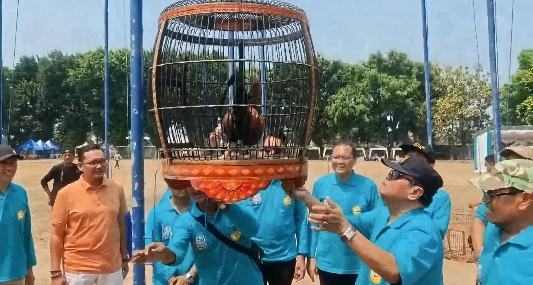 300 Peserta dari Berbagai Daerah Ramaikan Lomba Seni Suara Alam Ayam Bekisar Piala Jogja Istimewa