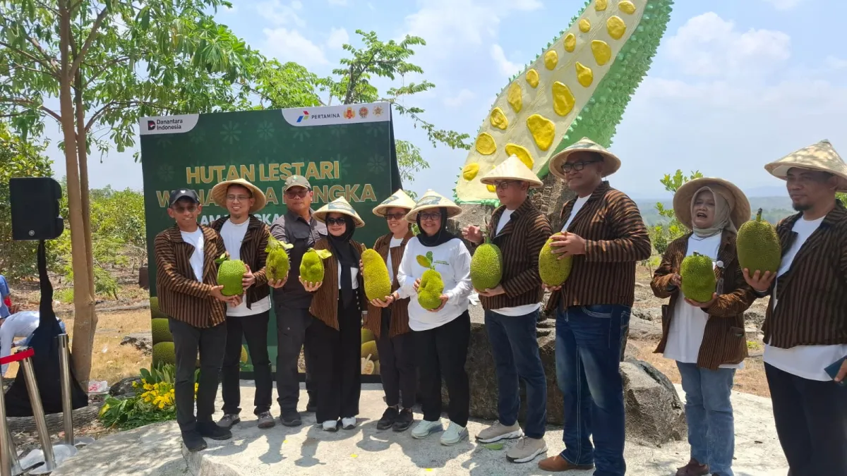 Perkuat Ketahanan Pangan dan Ekonomi Desa, Pertamina Gelar Panen Raya Nangka di Hutan Wanaboga Gunungkidul